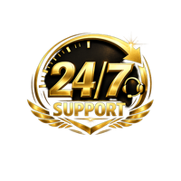24/7 support